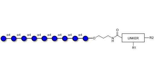 Maltononaose DP9 with customizable dual functionalization 