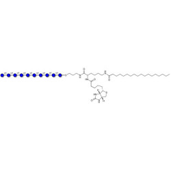 Maltodecaose DP10 linked to biotin and stearic chain (Linker-BT-STEA A)