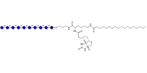 Maltodecaose DP10 linked to biotin and stearic chain (Linker-BT-STEA A)