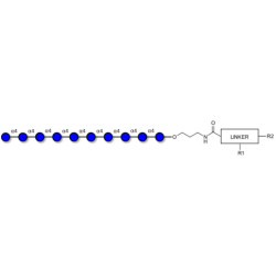Maltodecaose DP10 with customizable dual functionalization 