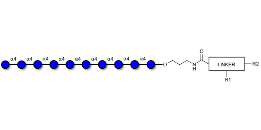 Maltodecaose DP10 with customizable dual functionalization 