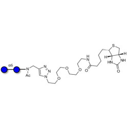 Isomaltose DP2 linked to biotin (Linker-BT A)