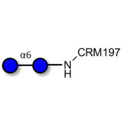 Isomaltose DP2 grafted on CRM197