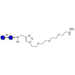 Isomaltose DP2 grafted on gel for affinity chromatography (Linker-GEL A)