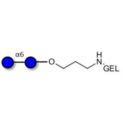 Isomaltose DP2 grafted on gel for affinity chromatography (Linker-GEL B)