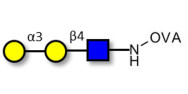 Nystose (DP4) / GF3 (>90% NMR)