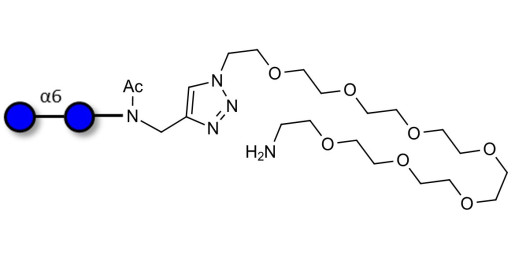 Isomaltose DP2 with free terminal amine (Linker-NH2 C)