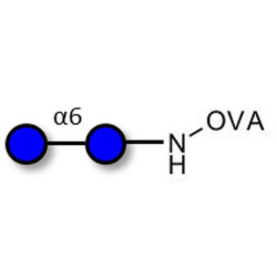 Isomaltose DP2 grafted on OVA