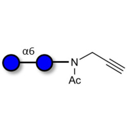 Isomaltose DP2 with terminal alkyne (Linker-CΞCH A)