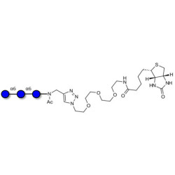 Isomaltotriose DP3 linked to biotin (Linker-BT A)