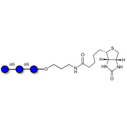 Isomaltotriose DP3 linked to biotin (Linker-BT B)