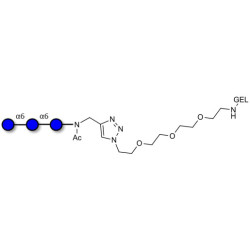 Isomaltotriose DP3 grafted on gel for affinity chromatography (Linker-GEL A)
