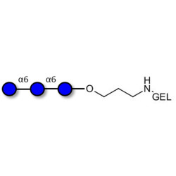 Isomaltotriose DP3 grafted on gel for affinity chromatography (Linker-GEL B)
