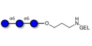 Isomaltotriose DP3 grafted...