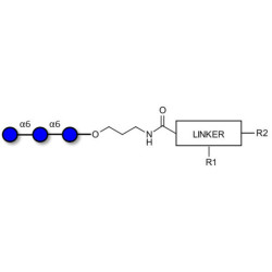 Isomaltotriose DP3 with customizable dual functionalization 
