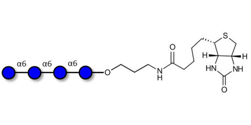 Isomaltotetraose DP4 linked to biotin (Linker-BT B)