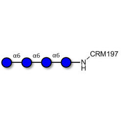 Isomaltotetraose DP4 grafted on CRM197