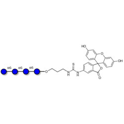 Isomaltotetraose DP4 linked to fluorescein (Linker-FLUO A)