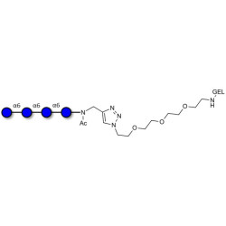 Isomaltotetraose DP4 grafted on gel for affinity chromatography (Linker-GEL A)