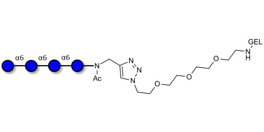 Isomaltotetraose DP4 grafted on gel for affinity chromatography (Linker-GEL A)