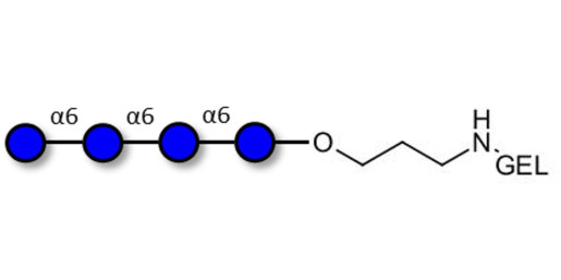 Isomaltotetraose DP4 grafted on gel for affinity chromatography (Linker-GEL B)