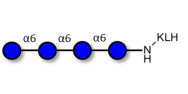 Isomaltotetraose DP4...