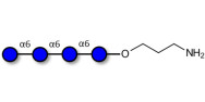 Isomaltotetraose DP4 with...