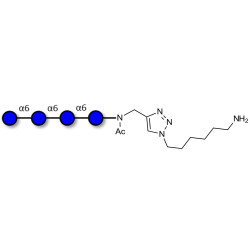 Isomaltotetraose DP4 with free terminal amine (Linker-NH2 D)