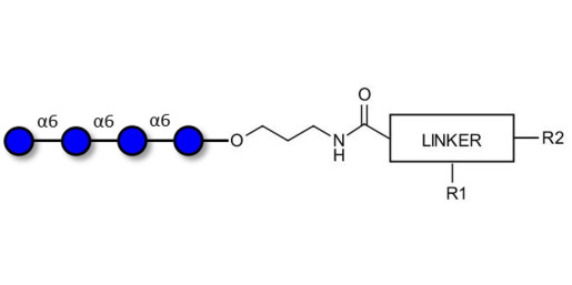 Isomaltotetraose DP4 with customizable dual functionalization 