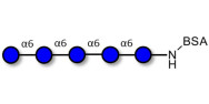 Isomaltopentaose DP5...
