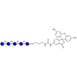 Isomaltopentaose DP5 linked to fluorescein (Linker-FLUO A)