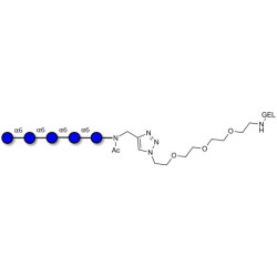 Isomaltopentaose DP5 grafted on gel for affinity chromatography (Linker-GEL A)