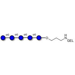 Isomaltopentaose DP5 grafted on gel for affinity chromatography (Linker-GEL B)
