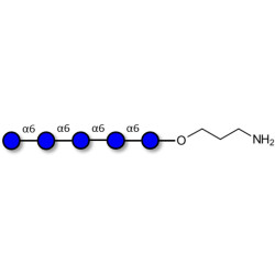 Isomaltopentaose DP5 with free terminal amine (Linker-NH2 A)