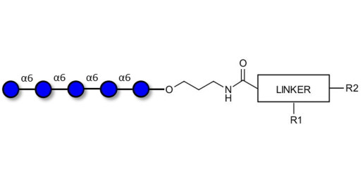 Isomaltopentaose DP5 with customizable dual functionalization 