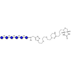Isomaltohexaose DP6 linked to biotin (Linker-BT A)