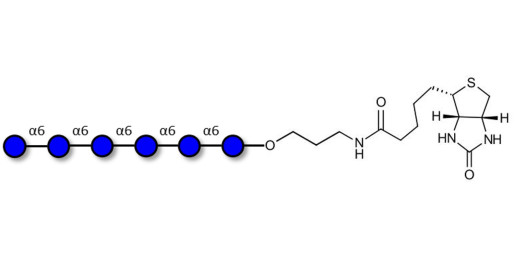 Isomaltohexaose DP6 linked to biotin (Linker-BT B)