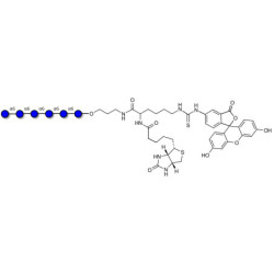 Isomaltohexaose DP6 linked to biotin and fluorescein (Linker-BT-FLUO A)