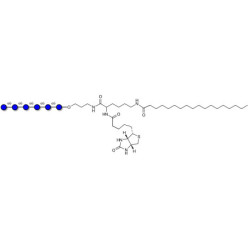 Isomaltohexaose DP6 linked to biotin and stearic chain (Linker-BT-STEA A)