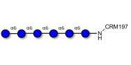 Isomaltohexaose DP6 grafted...