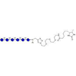 Isomaltohexaose DP6 linked to desthiobiotin (Linker-DBT-A)