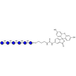Isomaltohexaose DP6 linked to fluorescein (Linker-FLUO A)
