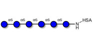 Isomaltohexaose DP6 grafted...