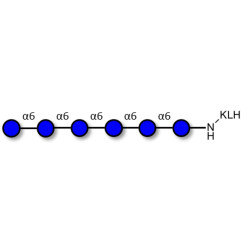 Isomaltohexaose DP6 grafted on KLH