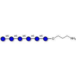 Isomaltohexaose DP6 with free terminal amine (Linker-NH2 A)