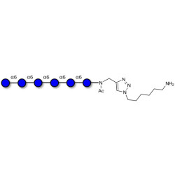 Isomaltohexaose DP6 with free terminal amine (Linker-NH2 D)