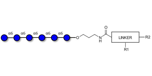 Isomaltohexaose DP6 with customizable dual functionalization 