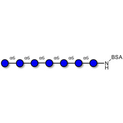 Isomaltoheptaose DP7 grafted on BSA