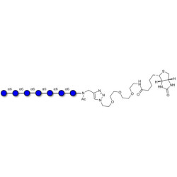 Isomaltoheptaose DP7 linked to biotin (Linker-BT A)