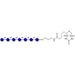 Isomaltoheptaose DP7 linked to biotin (Linker-BT B)